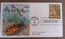 Tiger beetle great for sale  San Francisco