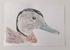 Canard sarcelle annelée d'occasion  Bouaye