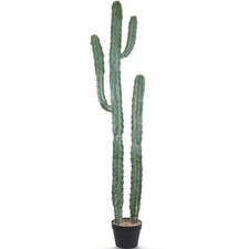 Artificial cactus potted for sale  Brentwood