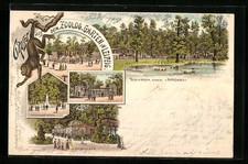 Lithographie leipzig zoologisc gebraucht kaufen  Berlin