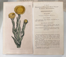 1798 curtis botanical for sale  Placerville