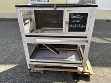 Qualitativer meerschweinchen s gebraucht kaufen  Hallerndorf