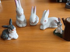 rabbits for sale  WORTHING