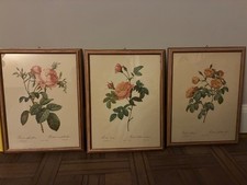 Stampe antiche inglesi usato  Fino Mornasco
