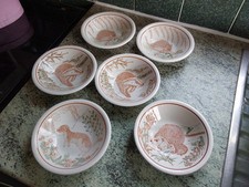Royal society nature for sale  DERBY