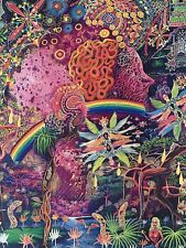 Pablo AMARINGO PACHA MASHIRUYAY Ayahuasca Visão Psicodélica DMT Terence McKenna comprar usado  Enviando para Brazil