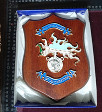 Crest carabinieri scuola usato  Italia