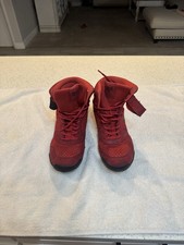 Everlast pro elite for sale  Henderson