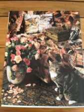 Ehrman victorian cats for sale  WARRINGTON
