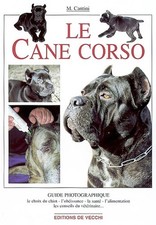 Cane corso micaela d'occasion  France