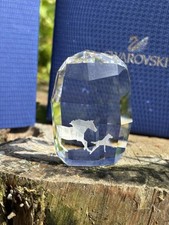 Swarovski scs crystal usato  Crevalcore
