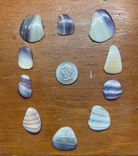 wampum jewelry for sale wampum jewelry for sale Lindenhurst
