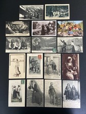 labrit pyrenees labrit d'occasion labrit pyrenees labrit d'occasion Zillisheim