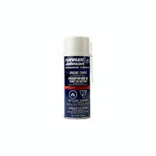 Engine tuner evinrude usato  Palmi