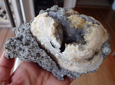Ruck pit fossil for sale  Sanford