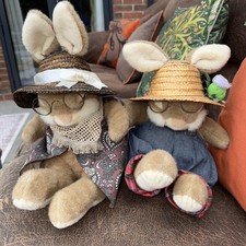 non non rabbit for sale  CALNE