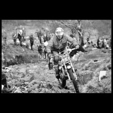 Photo .000846 wille d'occasion  Martinvast
