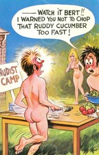 Bamforth postcard nudist for sale  UK