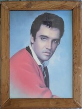 Vintage elvis print for sale  Marilla