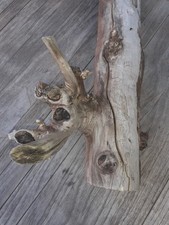 Treibholz schwemmholz cm gebraucht kaufen  Hilden