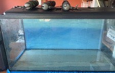 Aquarium der terrarium gebraucht kaufen  Westhausen