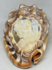 Cameo carved conch for sale  Blackstone