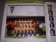 FOOTBALL COUPURE COULEUR 1988-1989 20x10 D2 GrA FC GUEUGNON na sprzedaż  Wysyłka do Poland