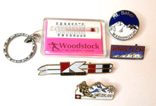 Vintage enamel ski for sale  Sun City