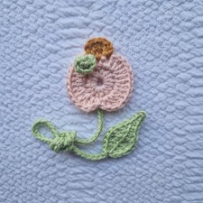 New design pumpkin for sale New design pumpkin for sale  CHORLEY