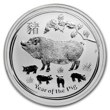 Lunar schwein 2019 gebraucht kaufen  Berlin