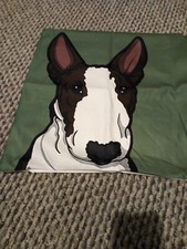 English bull terrier for sale  BRIDGWATER