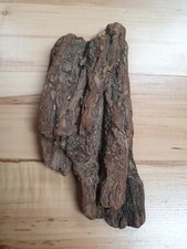 Ausgefallen extravagant rinde gebraucht kaufen  Werneuchen