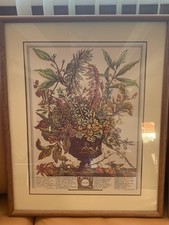 Months flowers furber for sale  Albuquerque