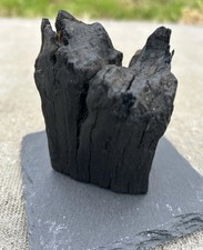 Irish bog oak for sale  LONDONDERRY