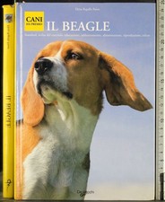 Cani premio. beagle. usato  Ariccia