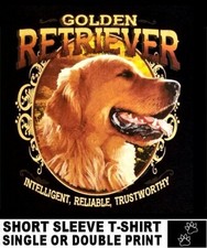 Beautiful loyal golden for sale  Cape Coral