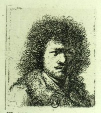 Rembrandt cheveux crépus d'occasion  France