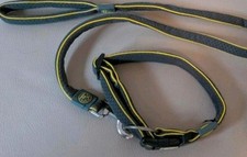 Halsband leine größe gebraucht kaufen  Altena