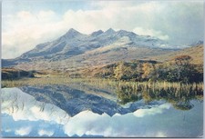 Vintage postcard cuillin for sale  UK