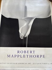 mapplethorpe usato mapplethorpe usato Milano
