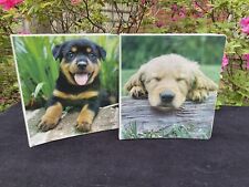 Puppies class act for sale  Grapevine