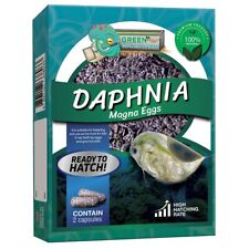 Dapnia magna eggs for sale  Shipping to Ireland