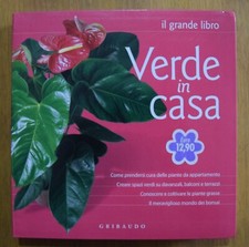 Verde casa. grande usato  Ascoli Piceno