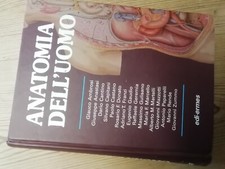 anastasi anatomia usato anastasi anatomia usato Serra Sant Abbondio