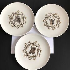 Assiettes plates saint d'occasion  Le Mans