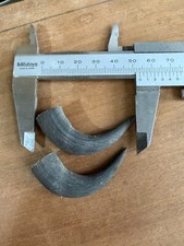 Charivari anhänger gams gebraucht kaufen  Sonnen