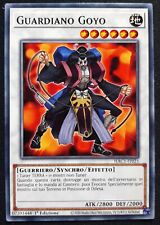 Guardiano goyo italiano usato  Venezia
