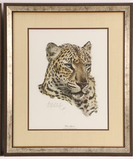 Vintage guy coheleach for sale  Cincinnati
