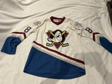 Mighty ducks hockey for sale  BORDON