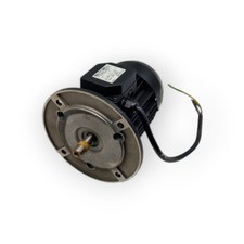 Joannes 273131 motor usato  Italia